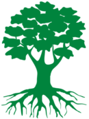 Secure Arbor | Professional Tree Care & Home Improvement